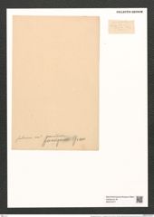 Dimerogramma fulvum var. ? furcigerum Grun. (de-Toni-Nr.: Genus 80, Species 2878) Zeichnungen Sammlung Grunow (NHMW-BOT-W0374277)